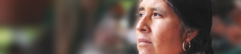 Imagen para la Constitución en Lengua